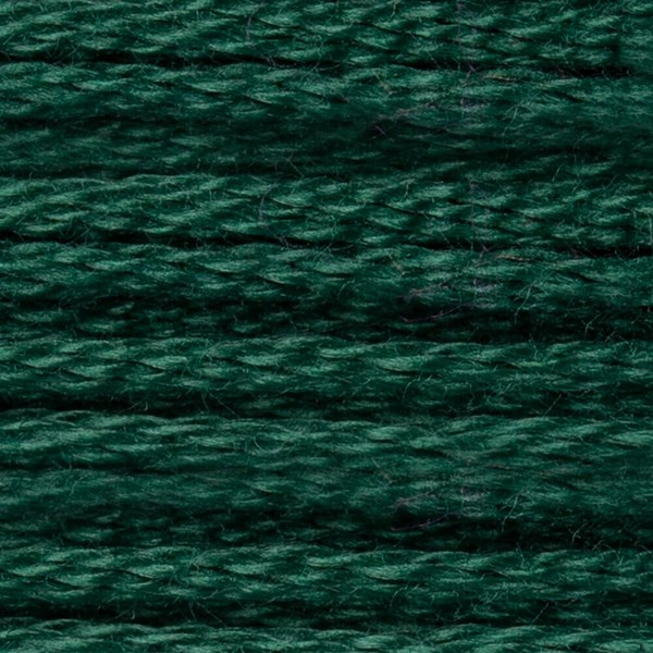 DMC 6 Strand Embroidery Floss - 561