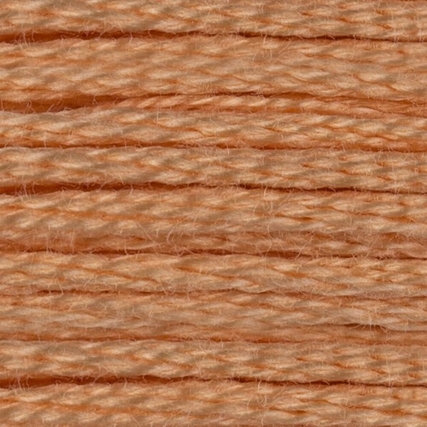 DMC 6 Strand Embroidery Floss - 3856