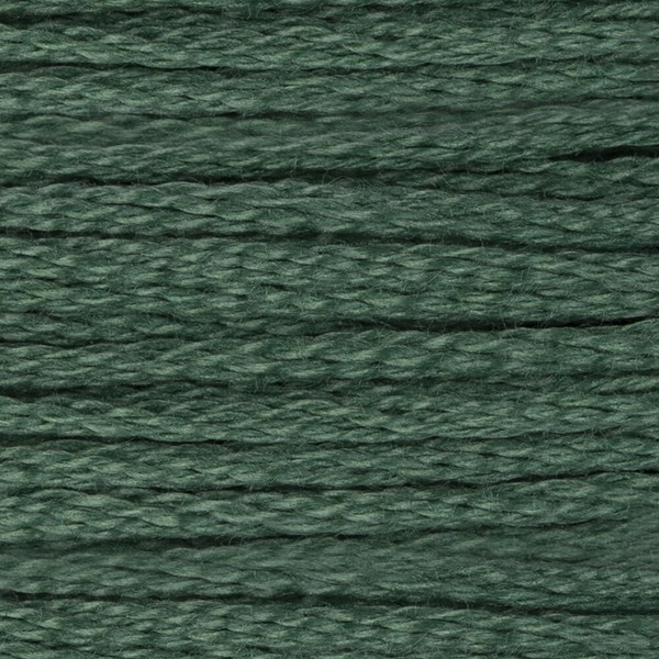 DMC 6 Strand Embroidery Floss - 163