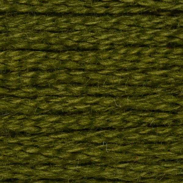 DMC 6 Strand Embroidery Floss - 469