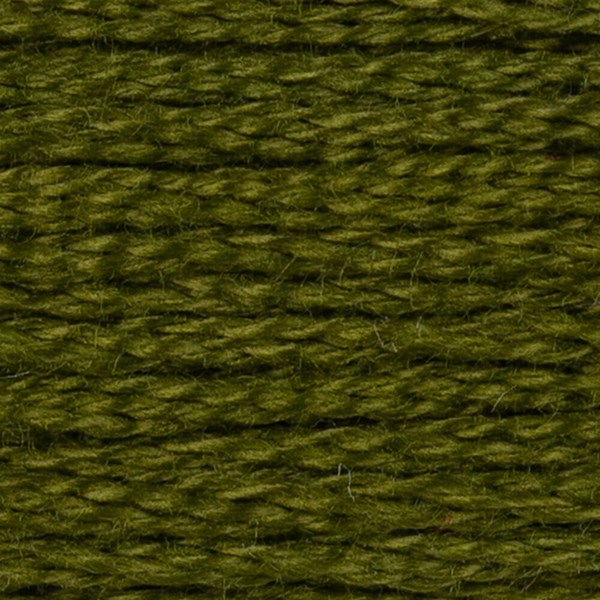 DMC 6 Strand Embroidery Floss - 469