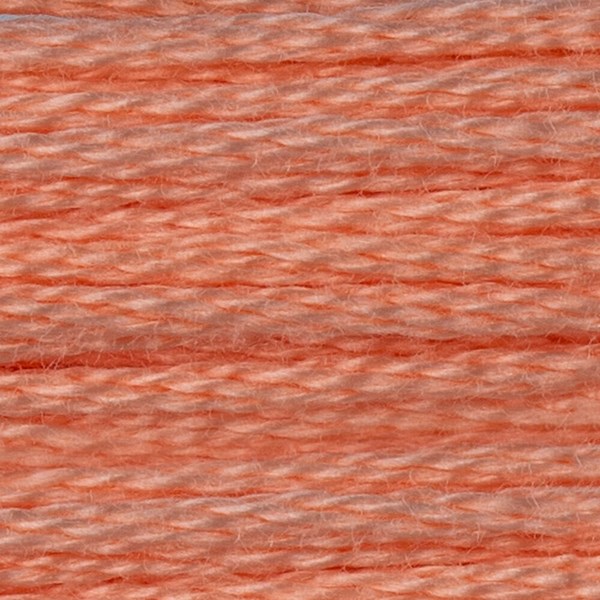 DMC 6 Strand Embroidery Floss - 3824