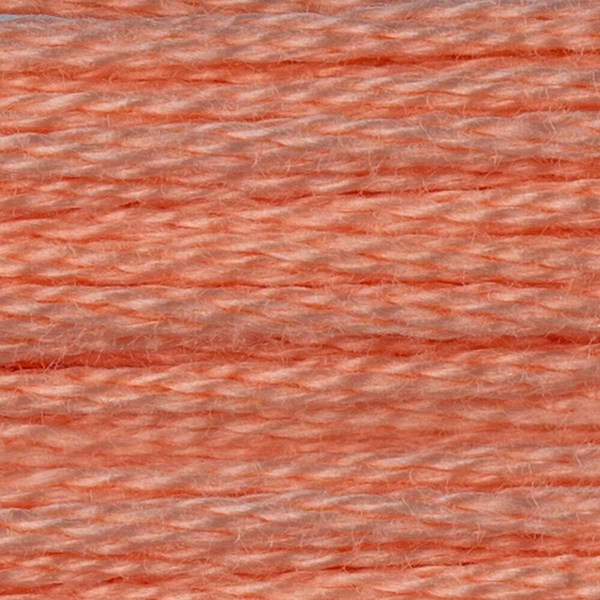 DMC 6 Strand Embroidery Floss