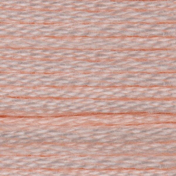 DMC 6 Strand Embroidery Floss - 819