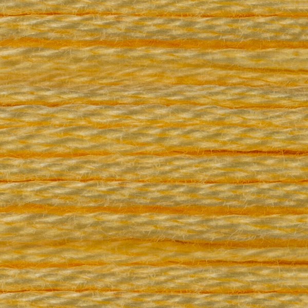 DMC 6 Strand Embroidery Floss - 727