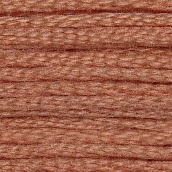 DMC 6 Strand Embroidery Floss - 758