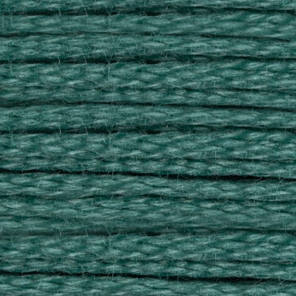 DMC 6 Strand Embroidery Floss - 3816