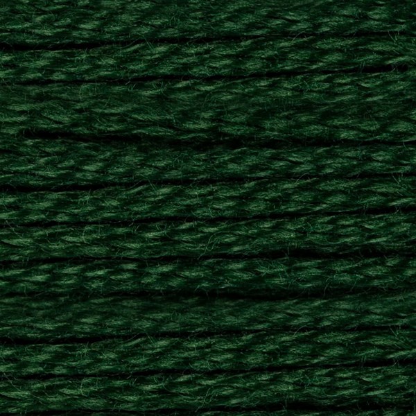 DMC 6 Strand Embroidery Floss - 895