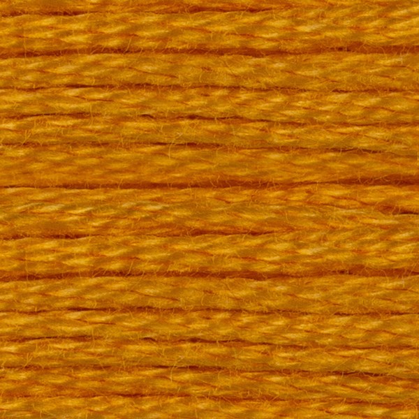 DMC 6 Strand Embroidery Floss - 742