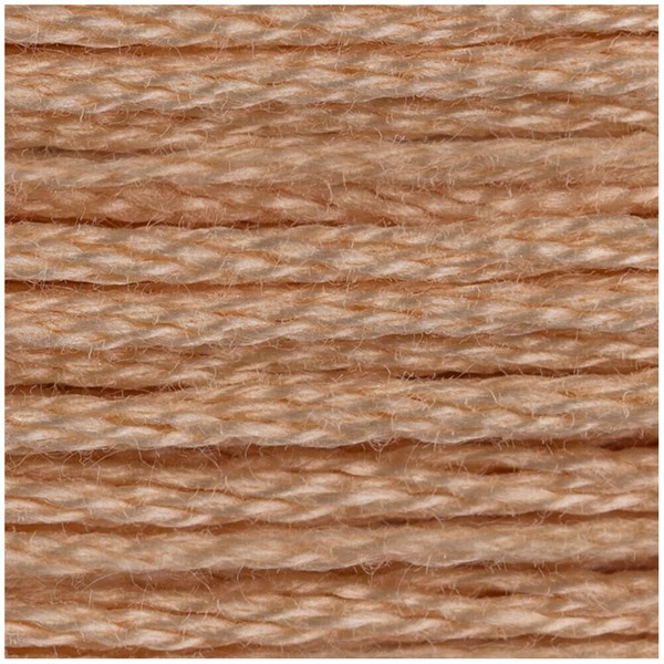 DMC 6 Strand Embroidery Floss - 945