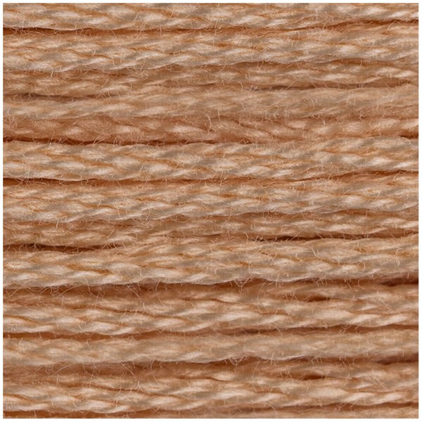 DMC 6 Strand Embroidery Floss - 945