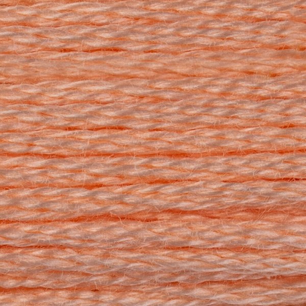 DMC 6 Strand Embroidery Floss - 20