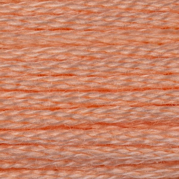 DMC 6 Strand Embroidery Floss