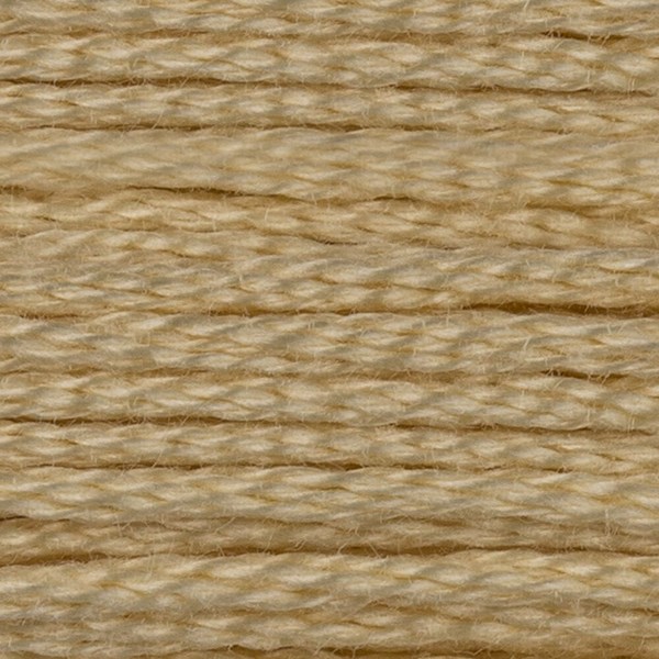 DMC 6 Strand Embroidery Floss - 3047