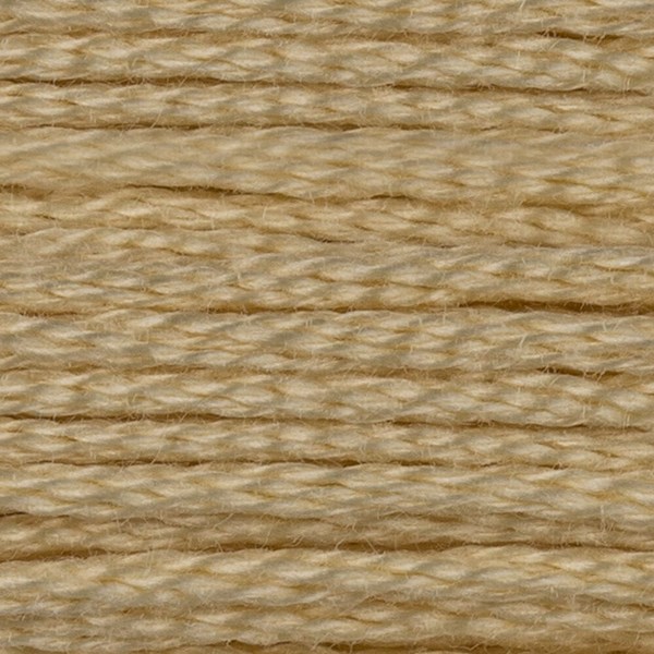 DMC 6 Strand Embroidery Floss