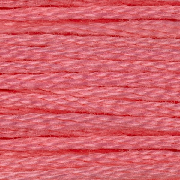 DMC 6 Strand Embroidery Floss - 957