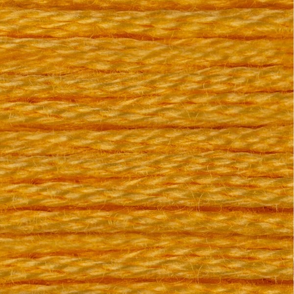 DMC 6 Strand Embroidery Floss