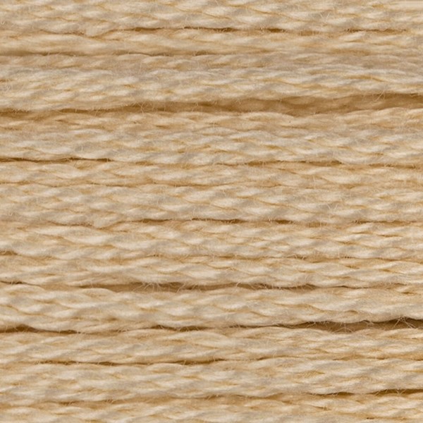 DMC 6 Strand Embroidery Floss - 739