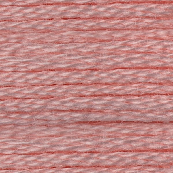 DMC 6 Strand Embroidery Floss - 3713