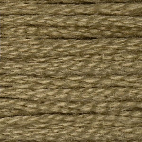 DMC 6 Strand Embroidery Floss - 3013