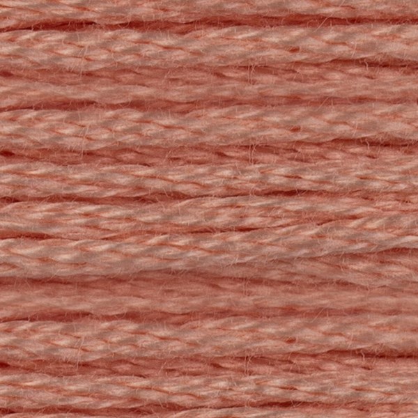 DMC 6 Strand Embroidery Floss - 3779