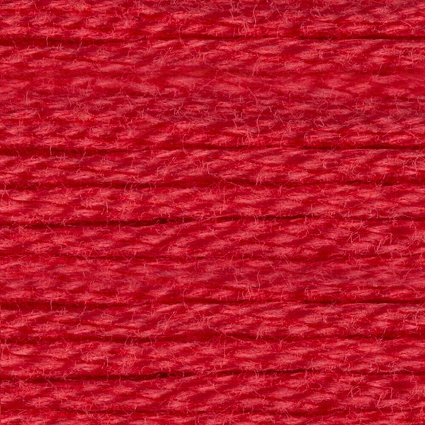 DMC 6 Strand Embroidery Floss - 891