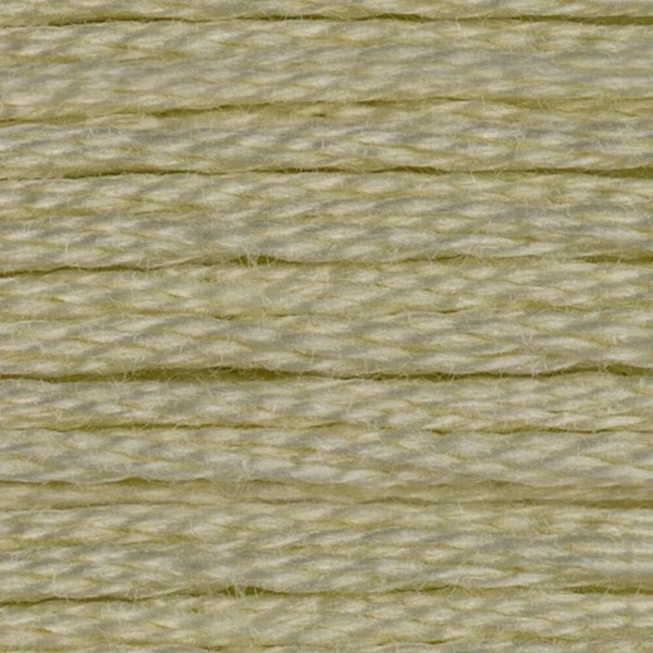 DMC 6 Strand Embroidery Floss - 10