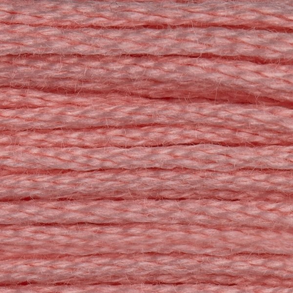 DMC 6 Strand Embroidery Floss - 761