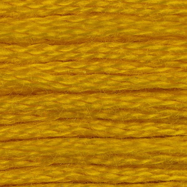 DMC 6 Strand Embroidery Floss - 444