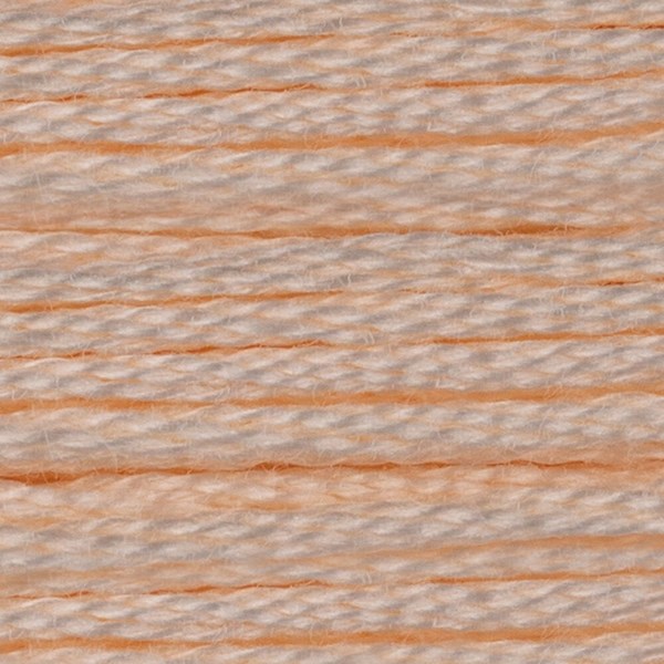 DMC 6 Strand Embroidery Floss - 3770