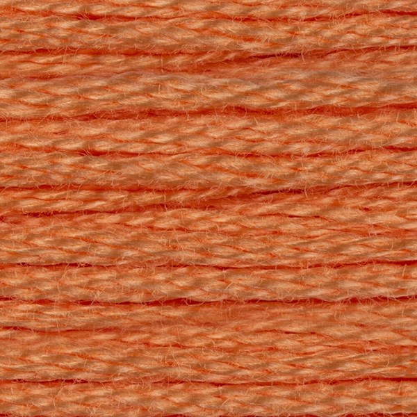 DMC 6 Strand Embroidery Floss - 3825