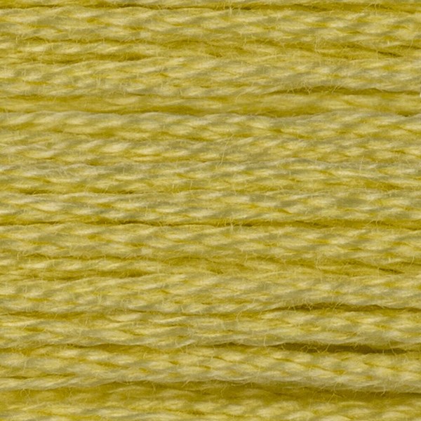 DMC 6 Strand Embroidery Floss - 11