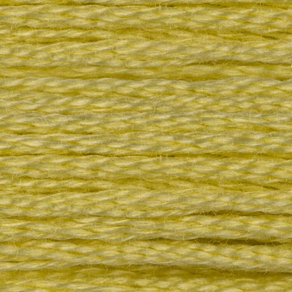 DMC 6 Strand Embroidery Floss