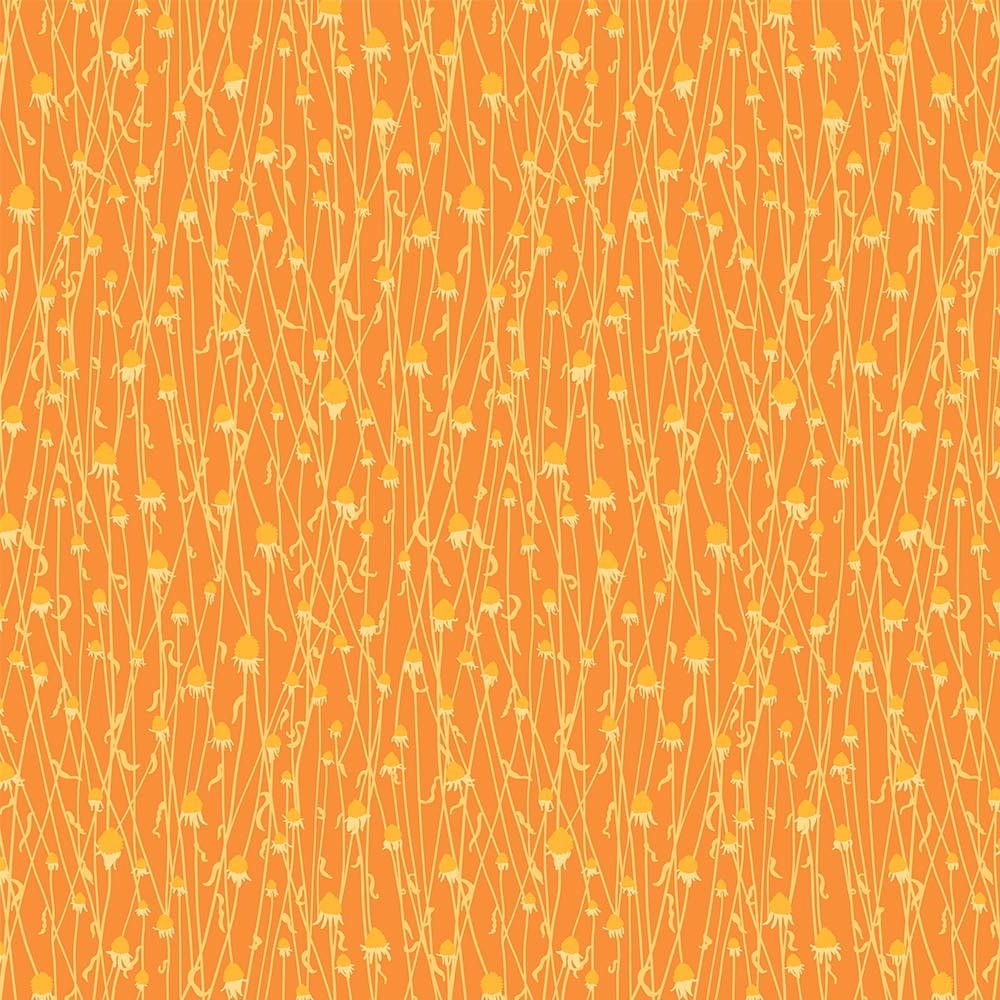 Dry Flowers - Orange