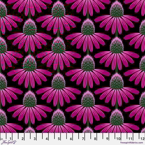 Echinacea LAWN - Ruby