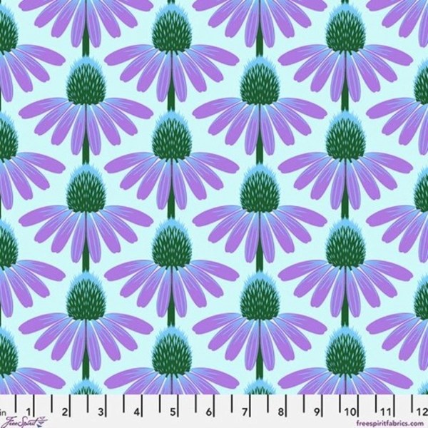 Echinacea - Grape