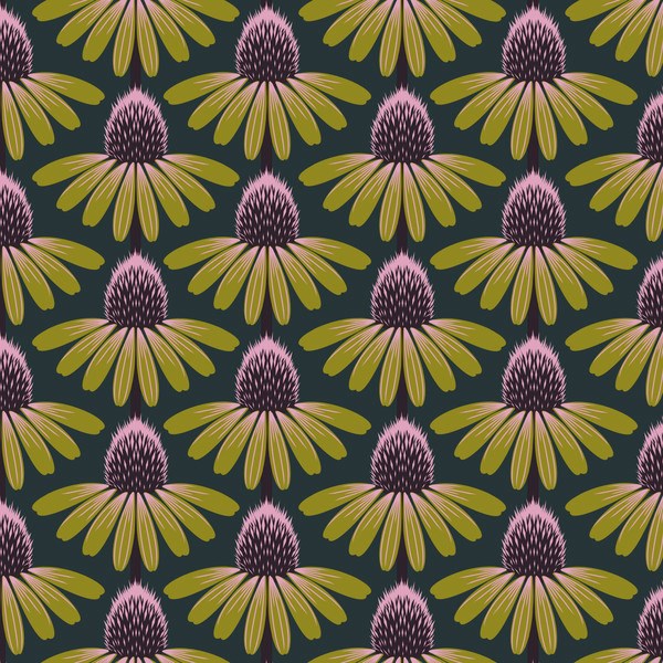 Echinacea - Seaweed