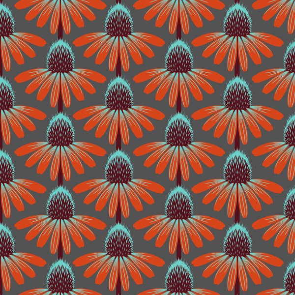Echinacea - Berry