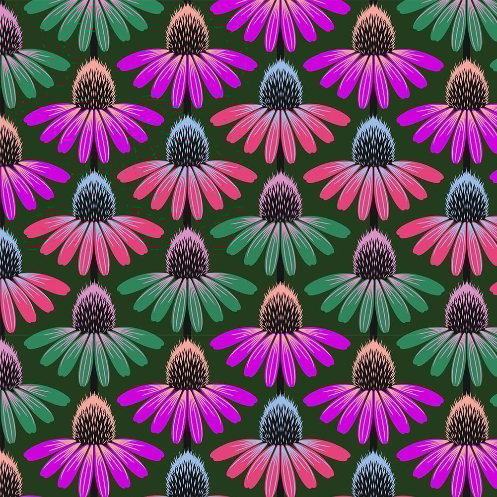 Echinacea Rhythm - Forest