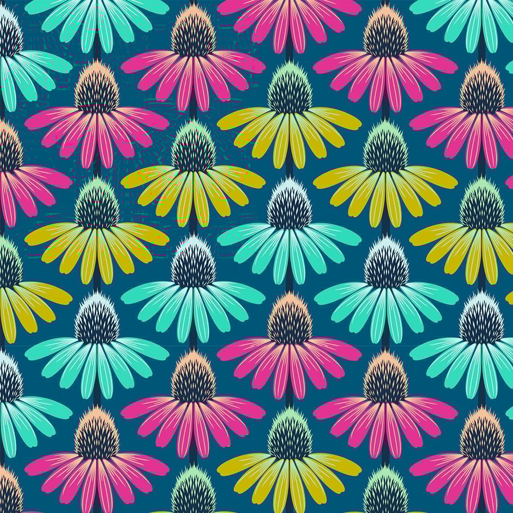 Echinacea Rhythm - Parade