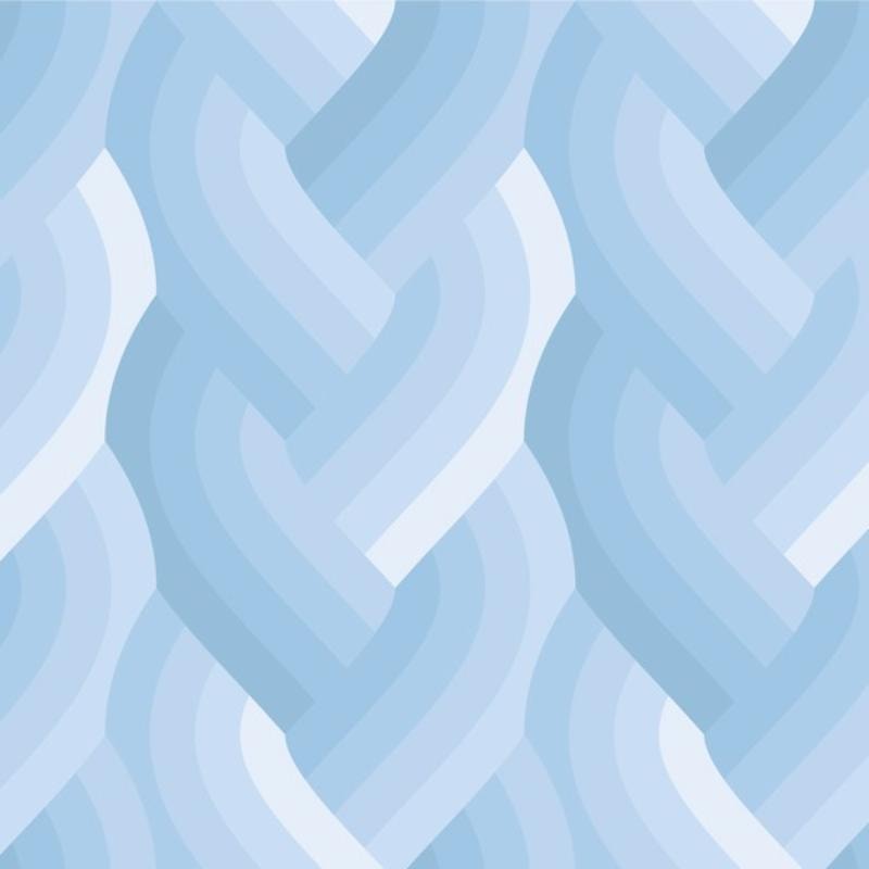 Echo Braid - Light Blue