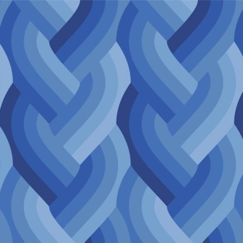 Echo Braid - Royal Blue