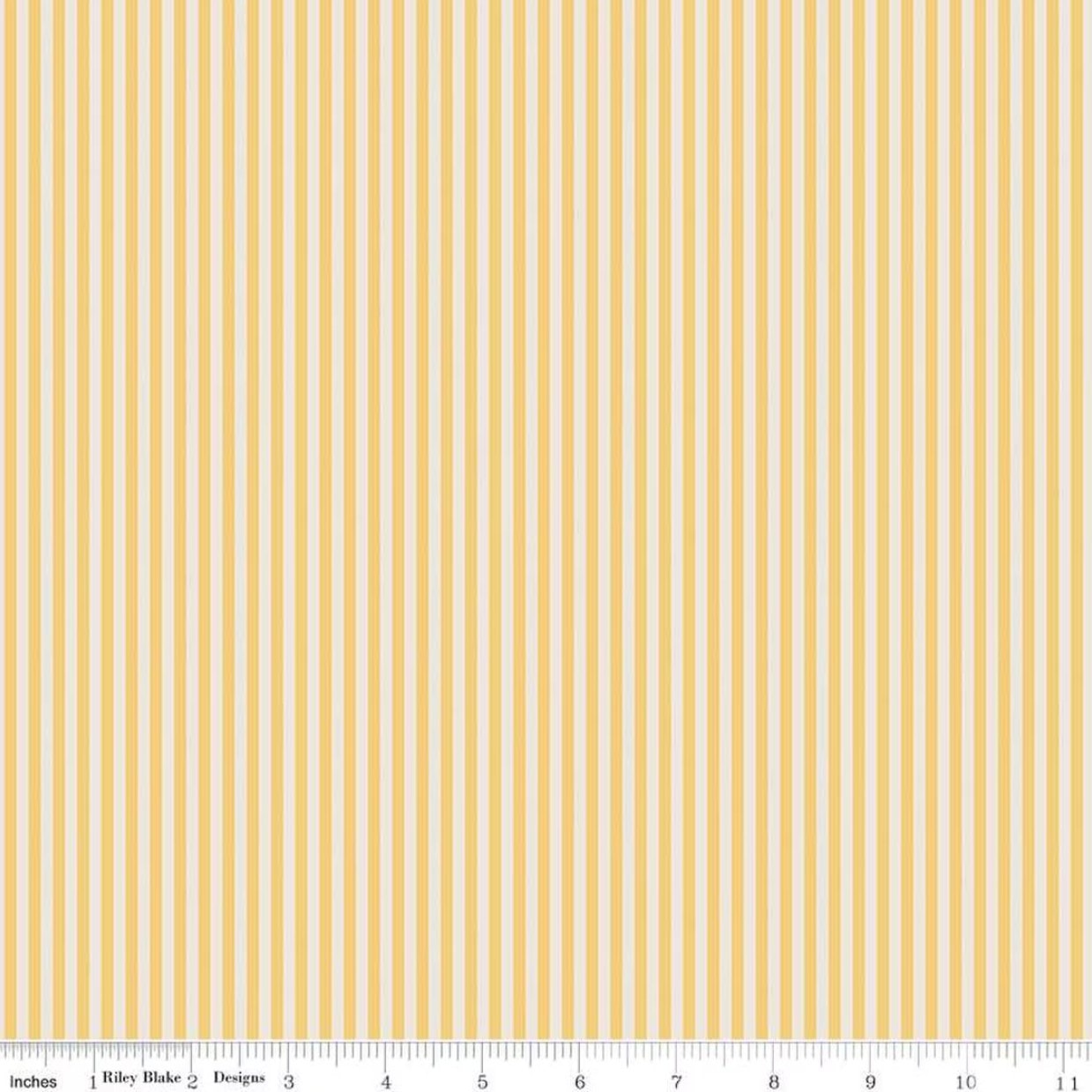 1/8" Stripe on Ivory - Honey