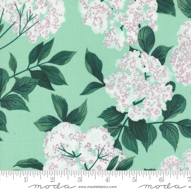 Elderberry Blossoms