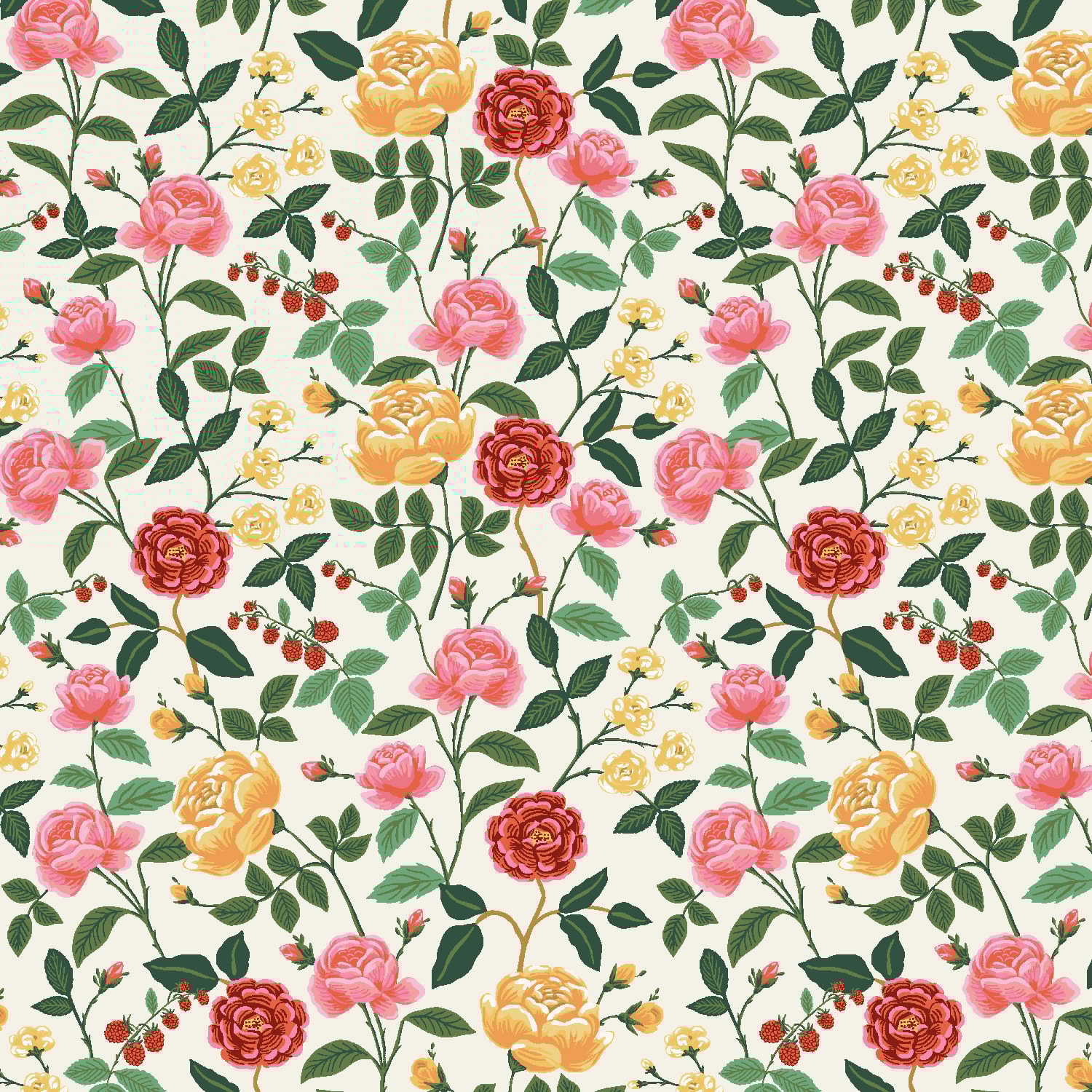 English Roses - Cream