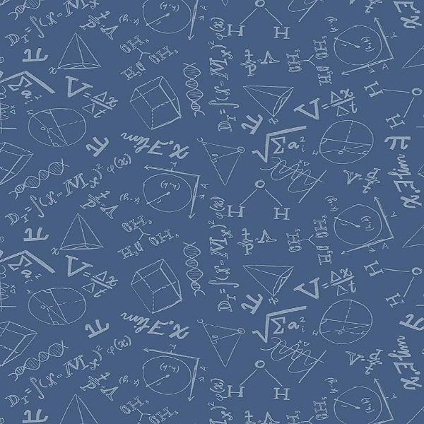 Equations Flannel