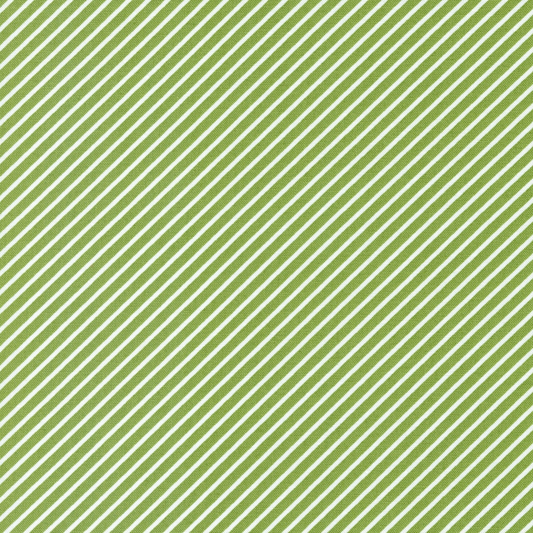Favorite Things Stripe - Evergreen