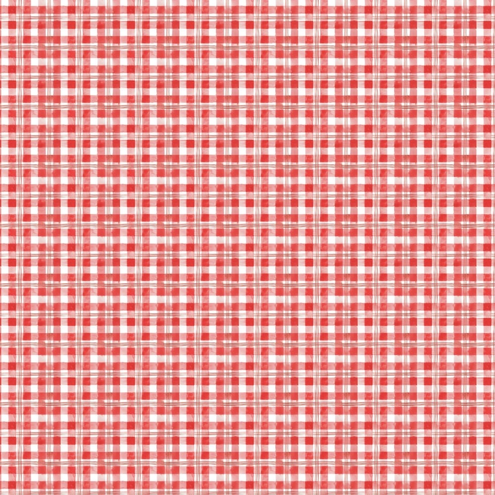 Field Trip Gingham - Red