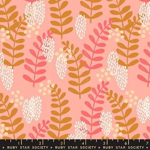 Fern Dell - Bashful