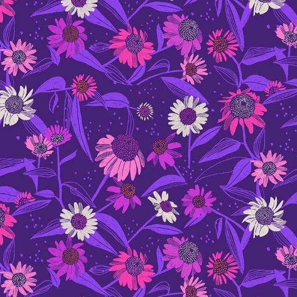 Flora Echinacea - Purple